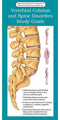 Vertebral Column and Spine Disorders Study Guide